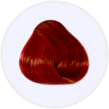 66.46 Louro Escuro Vermelho Especial Cereja